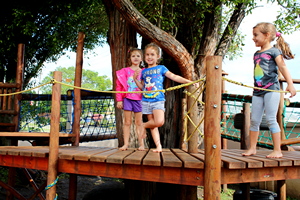 Image of treehouse