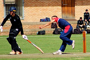 Image showing Cricket