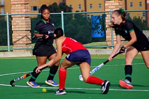 Image showing Hockey